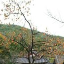 선암사 관광안내소 이미지