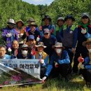 (야간열차)주왕산 사과과수원 적과작업 지원(2019.5.31) 이미지