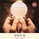 의향법무사;행정사사무소