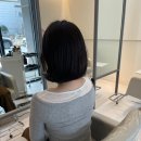 하성미용실 | 대전 지족동 미용실 샵코스모 단발 레이어드컷 맛집