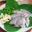 이집가자 이미지