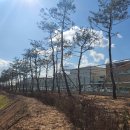 청주 제2순환로 이미지