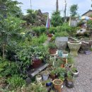 남부농원 이미지