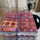 진월동행정복지센터 이미지