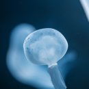 세계 박물관 탐험 이미지