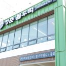 청춘물회 | 강문해변 물회 맛집 솥밥과 양대산맥인 청춘돌우럭&amp;물회 후기