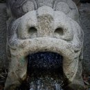 자유에너지(주) 수원화성주유소 | [내 마음을 지키는 감정 필사] - 북클럽 후기