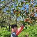 문산중앙유치원 이미지