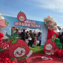 삼례읍 행정복지센터 | 2026 삼례 딸기축제 리얼후기: 주차 꿀팁부터 공연·체험까지, 아이와 함께한 두 번째 방문!