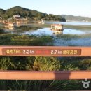 느린미학 이미지