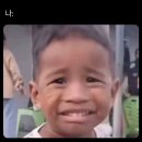 꽃갈피 이미지