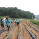 신암리 경로당 이미지