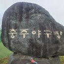 탄금야구장 이미지