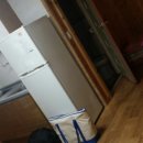 비발디 향기나무 이미지