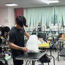 대림애견 이미지