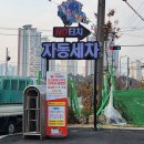 21세기세차장 | 대전 월평동 디케이워시, 새똥 차 노터치 프리미엄 세차 후기