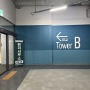 안포 | 과천지정타쌀국수 맛집 디안포｜아이동반 베트남 음식점 후기