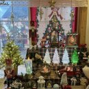 바당고띠 이미지