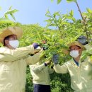 밀양시농업기술센터