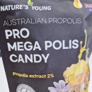 메가폴리스 | 제품후기) 네이쳐스영 프로 메가폴리스 캔디