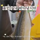 용인실내바다낚시터 이미지