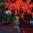 양구레포츠공원 풋살장
