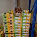 (주)골드레몬 이미지