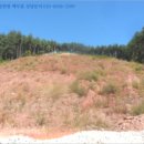 중로(보)2-1-5 이미지