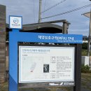 태안가곡제 | 태안 8경, 천연기념물 431호 태안 '신두리 해안사구' 방문후기