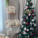 5층종로약국 이미지