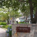 (주)신동무선 | [수원] 신동카페거리 맛집 &#39;라루치아&#39; 근처 수국정원