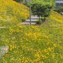 하늘향기한의원 이미지