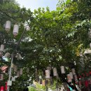 프롬에이치제이호텔오산점 | 엄마랑 #사파라다이스 DAY1. 250822