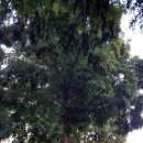 끄티공원 이미지