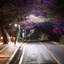 우암산순환로 이미지