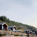 무안펜션 | 전남 무안 애견동반 펜션 솔직후기 굿나잇도그