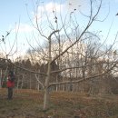 연수농장 이미지