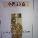 산양산삼18뿌리 송라 겨우살이 잔나비걸상버섯 지치 각각 경매 이미지