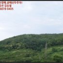 성곡6-19농로 | 성곡리 토지(임야)경매/청도군 풍각면 성곡리 산231-3 /2017타경102747