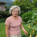 장사(감산2리) 이미지