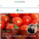 프레시윈도