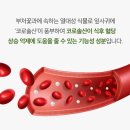 메가플러스 이미지