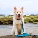 24시큰사랑동물병원 이미지