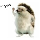 헤지우빌딩 | 테며들어 결국 구매한 "테슬라 모델 Y 주니퍼 주문" 실제 구매 후기 (갑자기 가격 인하!? 왜..?)