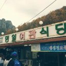 뉴부산투어
