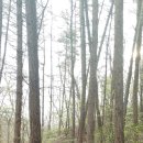 신송약수터 이미지