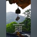 마하수리 Daum카페