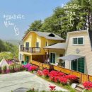 강릉애견하우스 이미지