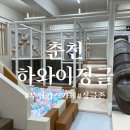 정글존 | 춘천 장학리 무인키즈카페 하와이정글 정글존 방문 후기