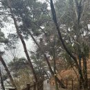 송해공원 제3주차장(1) 이미지